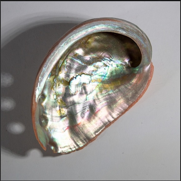 Witchy NEW Palo Santo & Quartz Crystals w/ Abalone Shell, 3 PC. Smoke Set - NWT - Picture 3 of 6